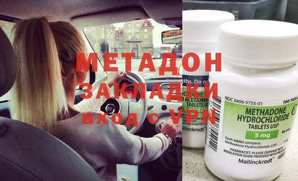 стаф Алексин