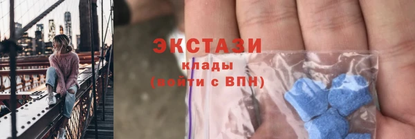 стаф Алексин