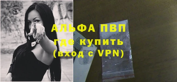 стаф Алексин