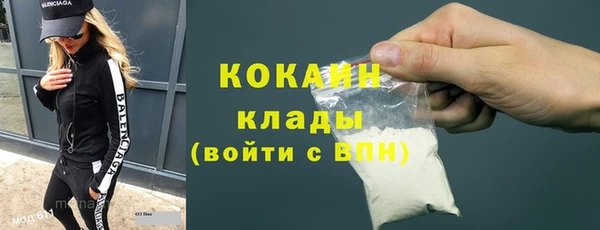 прущие грибы Абаза