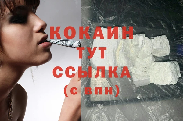 спиды Алзамай