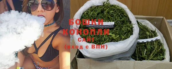 прущие грибы Абаза