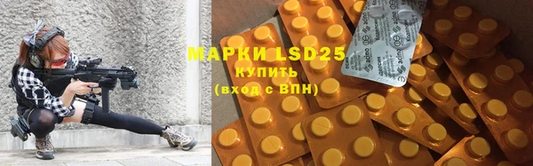 прущие грибы Абаза