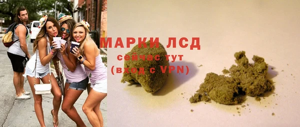 спиды Алзамай