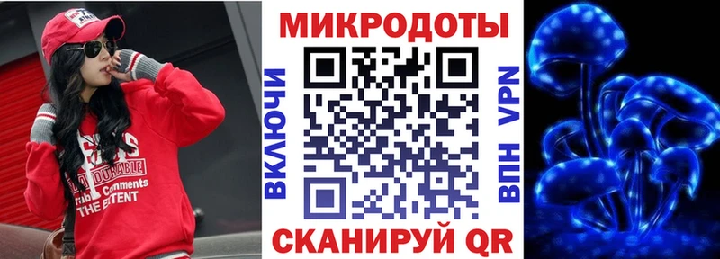Галлюциногенные грибы Psilocybe Иннополис