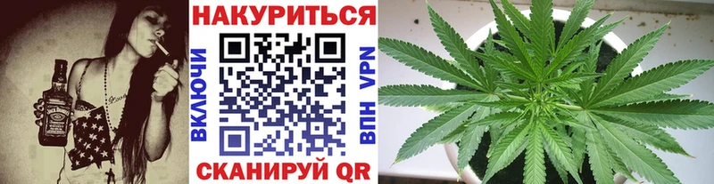 цена наркотик  Иннополис  Шишки марихуана сатива 